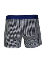 Ethan Micro 2-pack Shorts image number 4